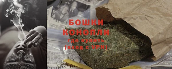 стафф Осташков