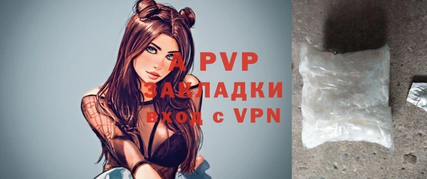 стафф Осташков