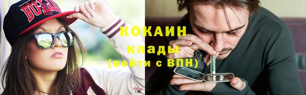 стафф Осташков