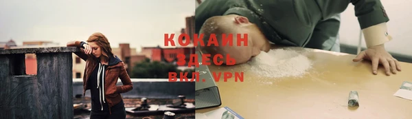 мет Переславль-Залесский